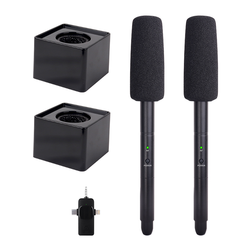 3 in 1 Wireless Microphone